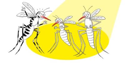 COMUNICAZIONE A RIGUARDO DELLA CIRCOLAZIONE DEL VIRUS WEST NILE IN EMILIA ROMAGNA foto 
