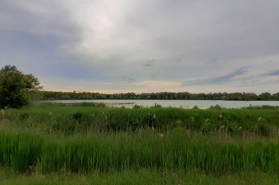 Rinnovo dell Osservatorio Ambientale foto 