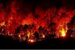 Avvio della fase di attenzione per gli incendi boschivi foto 