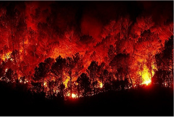 Estesa fino al 30 settembre la fase di attenzione per gli incendi boschivi foto 