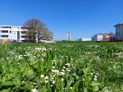 Parco zona San Francesco