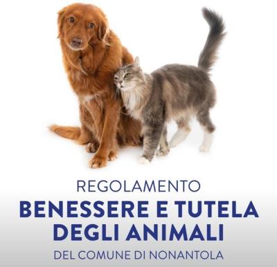 Modificato il Regolamento per il benessere e la tutela degli animali” foto 