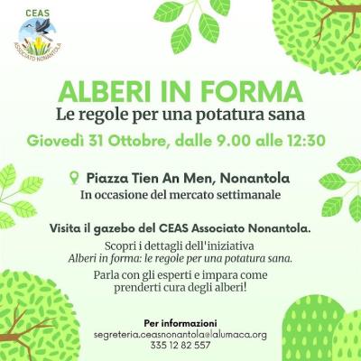 Alberi in forma foto 