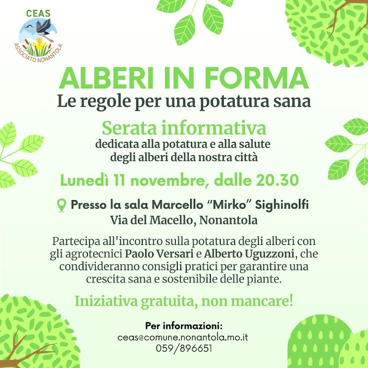 Alberi in forma, serata informativa lunedì 11 novembre foto 