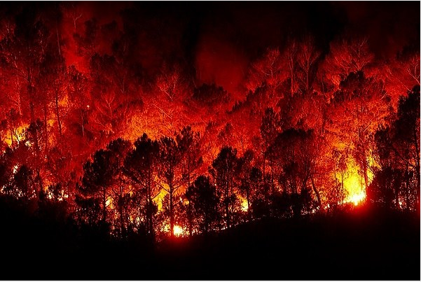 Ritorno alla fase di attenzione per gli incendi boschivi