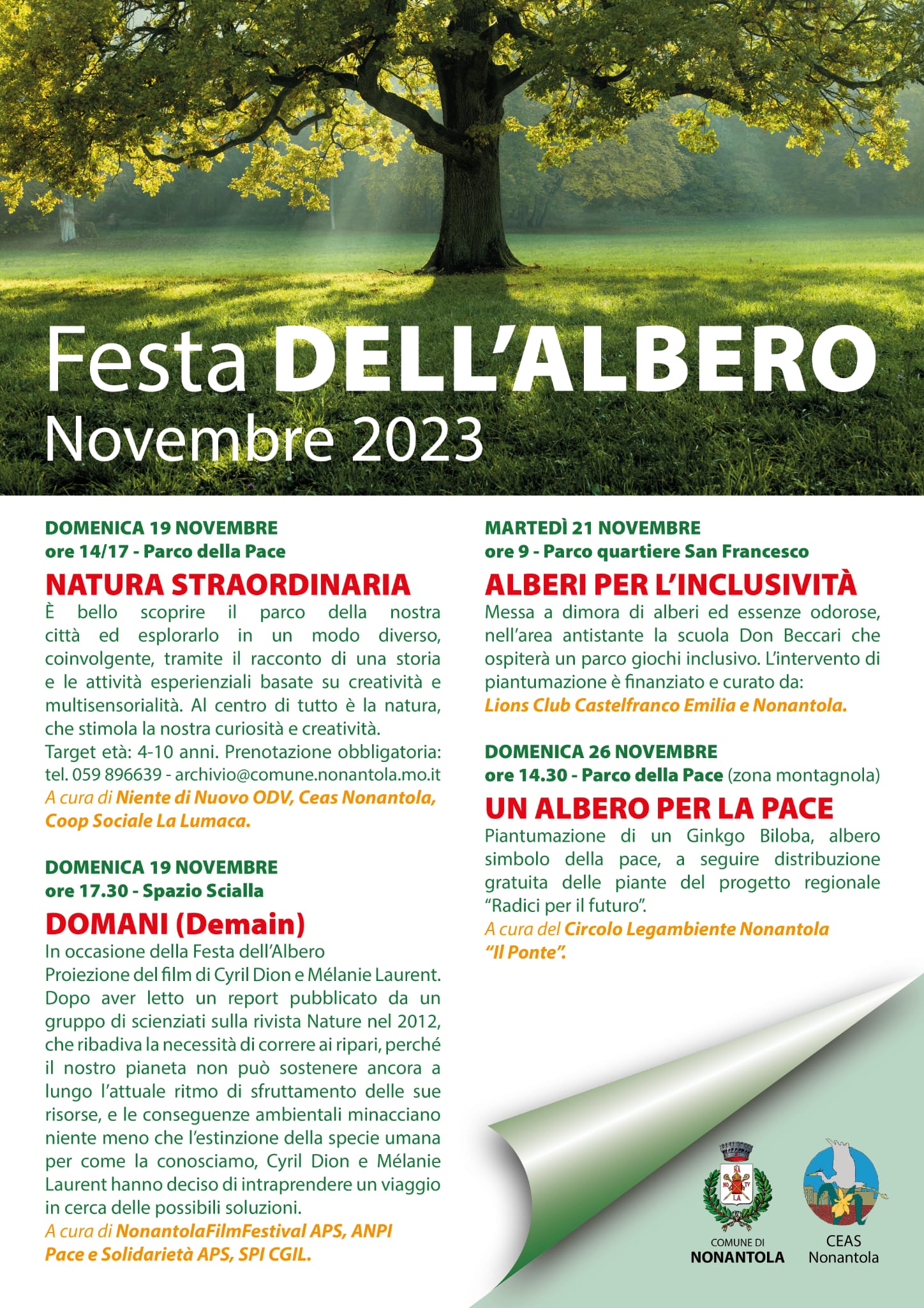 Novembre mese dedicato all’Albero