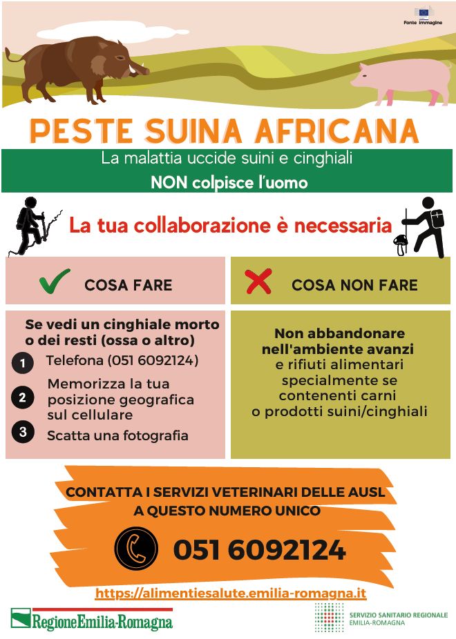 Peste suina africana