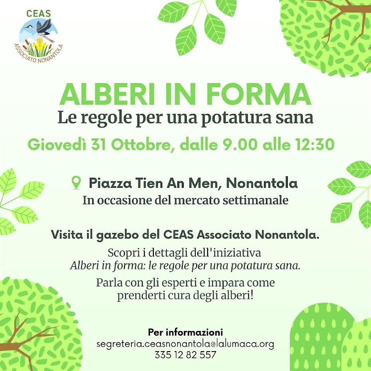 Alberi in forma